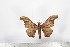 ( - BC-TB1736)  @12 [ ] Copyright (2010) Unspecified Research Collection of Thierry Bouyer