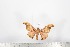  ( - BC-TB1737)  @12 [ ] Copyright (2010) Unspecified Research Collection of Thierry Bouyer