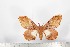  ( - BC-TB1740)  @12 [ ] Copyright (2010) Unspecified Research Collection of Thierry Bouyer