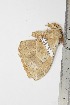  ( - BC-TB1749)  @12 [ ] Copyright (2010) Unspecified Research Collection of Thierry Bouyer