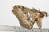  ( - BC-TB1809)  @12 [ ] Copyright (2010) Unspecified Research Collection of Thierry Bouyer