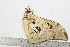  ( - BC-TB1817)  @12 [ ] Copyright (2010) Unspecified Research Collection of Thierry Bouyer