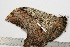  ( - BC-TB1831)  @12 [ ] Copyright (2010) Unspecified Research Collection of Thierry Bouyer
