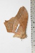  ( - BC-TB1846)  @13 [ ] Copyright (2010) Unspecified Research Collection of Thierry Bouyer