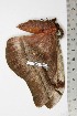  ( - BC-TB1975)  @13 [ ] Copyright (2010) Unspecified Research Collection of Thierry Bouyer