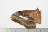  ( - BC-TB1998)  @13 [ ] Copyright (2010) Unspecified Research Collection of Thierry Bouyer