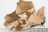  ( - BC-TB2038)  @14 [ ] Copyright (2010) Unspecified Research Collection of Thierry Bouyer