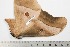  ( - BC-TB2039)  @13 [ ] Copyright (2010) Unspecified Research Collection of Thierry Bouyer