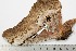  ( - BC-TB2040)  @12 [ ] Copyright (2010) Unspecified Research Collection of Thierry Bouyer