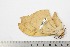  ( - BC-TB2041)  @12 [ ] Copyright (2010) Unspecified Research Collection of Thierry Bouyer
