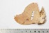  ( - BC-TB2043)  @12 [ ] Copyright (2010) Unspecified Research Collection of Thierry Bouyer