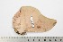  ( - BC-TB2047)  @13 [ ] Copyright (2010) Unspecified Research Collection of Thierry Bouyer