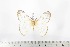  ( - BC-TB2159)  @13 [ ] Copyright (2010) Unspecified Research Collection of Thierry Bouyer