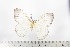  ( - BC-TB2188)  @11 [ ] Copyright (2010) Unspecified Research Collection of Thierry Bouyer