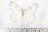  ( - BC-TB2217)  @13 [ ] Copyright (2010) Unspecified Research Collection of Thierry Bouyer