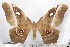  ( - BC-TB2248)  @13 [ ] Copyright (2010) Unspecified Research Collection of Thierry Bouyer