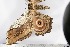  ( - BC-TB2252)  @12 [ ] Copyright (2010) Unspecified Research Collection of Thierry Bouyer