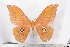  ( - BC-TB2257)  @12 [ ] Copyright (2010) Unspecified Research Collection of Thierry Bouyer