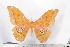  ( - BC-TB2258)  @12 [ ] Copyright (2010) Unspecified Research Collection of Thierry Bouyer
