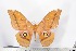  ( - BC-TB2259)  @12 [ ] Copyright (2010) Unspecified Research Collection of Thierry Bouyer