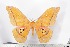  ( - BC-TB2260)  @13 [ ] Copyright (2010) Unspecified Research Collection of Thierry Bouyer