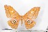  ( - BC-TB2261)  @12 [ ] Copyright (2010) Unspecified Research Collection of Thierry Bouyer