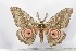  ( - BC-TB2283)  @13 [ ] Copyright (2010) Unspecified Research Collection of Thierry Bouyer