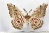  ( - BC-TB2284)  @13 [ ] Copyright (2010) Unspecified Research Collection of Thierry Bouyer