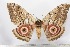  ( - BC-TB2285)  @13 [ ] Copyright (2010) Unspecified Research Collection of Thierry Bouyer