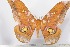  ( - BC-TB2287)  @12 [ ] Copyright (2010) Unspecified Research Collection of Thierry Bouyer