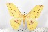  ( - BC-TB2312)  @14 [ ] Copyright (2010) Unspecified Research Collection of Thierry Bouyer