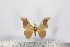 ( - BC-TB2345)  @12 [ ] Copyright (2010) Unspecified Research Collection of Thierry Bouyer