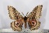  ( - BC-TB2390)  @13 [ ] Copyright (2010) Unspecified Research Collection of Thierry Bouyer