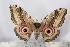  ( - BC-TB2391)  @13 [ ] Copyright (2010) Unspecified Research Collection of Thierry Bouyer