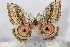  ( - BC-TB2393)  @14 [ ] Copyright (2010) Unspecified Research Collection of Thierry Bouyer