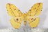  ( - BC-TB2402)  @14 [ ] Copyright (2010) Unspecified Research Collection of Thierry Bouyer