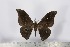  ( - BC-TB2404)  @13 [ ] Copyright (2010) Unspecified Research Collection of Thierry Bouyer