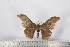  ( - BC-TB2425)  @12 [ ] Copyright (2010) Unspecified Research Collection of Thierry Bouyer