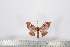  ( - BC-TB2440)  @12 [ ] Copyright (2010) Unspecified Research Collection of Thierry Bouyer