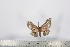  ( - BC-TB2444)  @14 [ ] Copyright (2010) Unspecified Research Collection of Thierry Bouyer