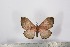  ( - BC-TB2514)  @13 [ ] Copyright (2010) Unspecified Research Collection of Thierry Bouyer