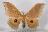  ( - BC-TB2587)  @14 [ ] Copyright (2010) Unspecified Research Collection of Thierry Bouyer