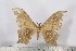  ( - BC-TB2603)  @13 [ ] Copyright (2010) Unspecified Research Collection of Thierry Bouyer