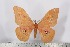 ( - BC-TB2611)  @14 [ ] Copyright (2010) Unspecified Research Collection of Thierry Bouyer