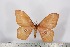  ( - BC-TB2623)  @13 [ ] Copyright (2010) Unspecified Research Collection of Thierry Bouyer