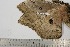  ( - BC-TB2655)  @12 [ ] Copyright (2010) Unspecified Research Collection of Thierry Bouyer