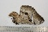  ( - BC-TB2663)  @12 [ ] Copyright (2010) Unspecified Research Collection of Thierry Bouyer
