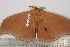  ( - BC-TB2669)  @13 [ ] Copyright (2010) Unspecified Research Collection of Thierry Bouyer