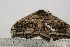  ( - BC-TB2670)  @12 [ ] Copyright (2010) Unspecified Research Collection of Thierry Bouyer
