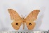  ( - BC-TB2696)  @12 [ ] Copyright (2010) Unspecified Research Collection of Thierry Bouyer